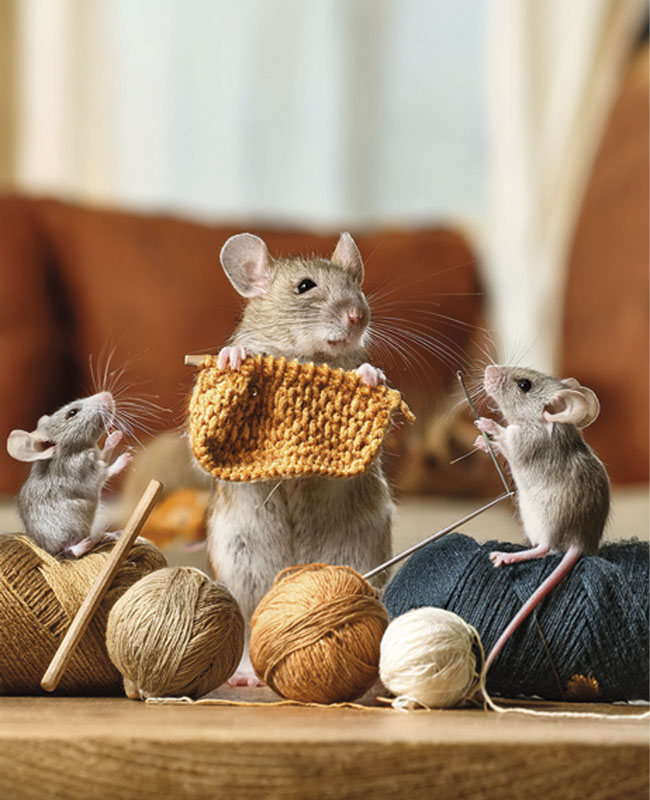 Le cadeau de Noël de mon Chéri 1